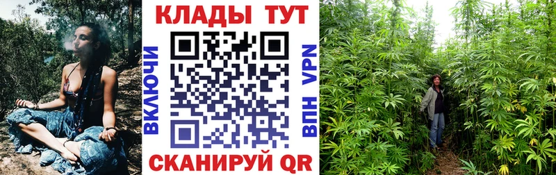 ГАШ Высоцк