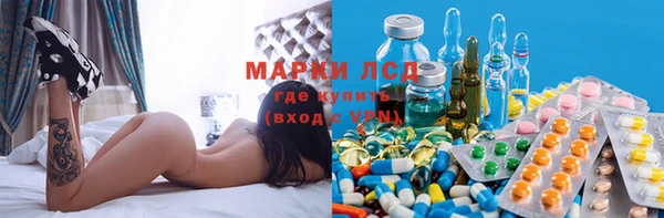 шишки Беломорск