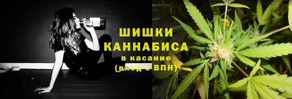 шишки Беломорск