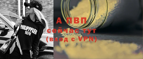 шишки Беломорск