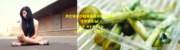 apvp Белокуриха