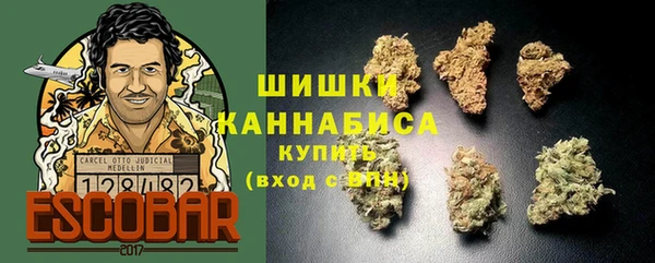 apvp Белокуриха