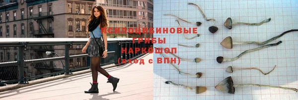 шишки Беломорск
