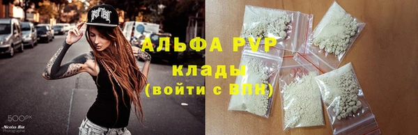 шишки Беломорск