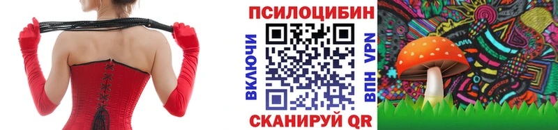 купить наркотик  Высоцк  Псилоцибиновые грибы мицелий 